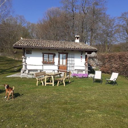 Baita Tana Da L'Ors Forgaria nel Friuli المظهر الخارجي الصورة