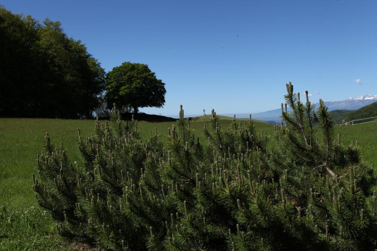 Baita Tana Da L'Ors Forgaria nel Friuli المظهر الخارجي الصورة